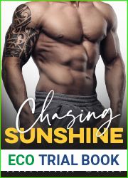 Chasing Sunshine (NE University, #1)