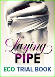 Laying Pipe (Blue Collar Hearts, #1)