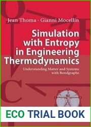 Simulation with Entropy in Engineering
