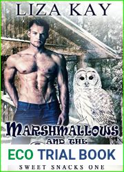 Marshmallows and the Snow (Sweet Snacks, #1)
