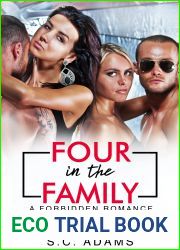 Four in the Family: A Forbidden Twin Romance (Numbers Game)