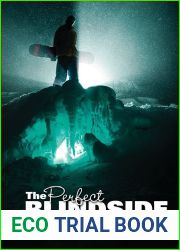 The Perfect Blindside