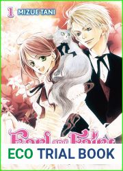Earl and Fairy: Volume 1 (Light Novel)