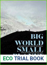 Big World, Small Planet: Abundance within Planetary Boundaries
