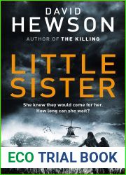Little Sister (Pieter Vos, #3)