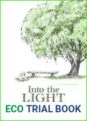 Into the Light (Avery, #2)