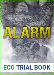 Alarm