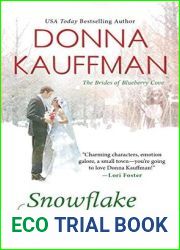 Snowflake Bay (Brides Of Blueberry Cove, #2)