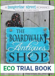 The Boardwalk Antiques Shop (Tangerine Street Romance, #2)