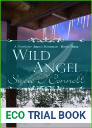 Wild Angel (Northstar Angels, #3)