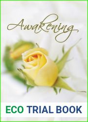 Awakening (The Lewis Legacy Series, #1)