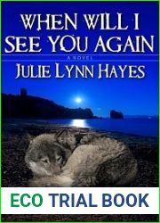 When Will I See You Again (Crescent Bay Chronicles, #1)