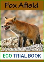 Fox Afield (The Madison Wolves, #4)