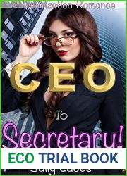 CEO to Secretary: Feminization, Crossdressing