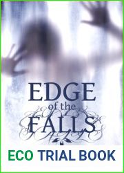 Edge of the Falls