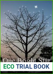 One Bright Star (Dark Horse, #3.1)