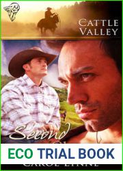 Second Chances (Cattle Valley, #28)