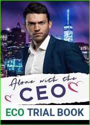 Alone with the CEO