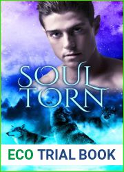 Soul Torn (The Sherwood Wolves #5)