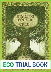 The Healing Power of Trees: Spiritual Journeys Through the Celtic Tree Calendar