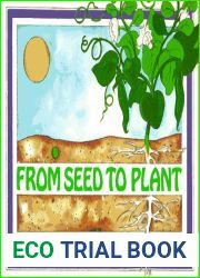 From Seed to Plant