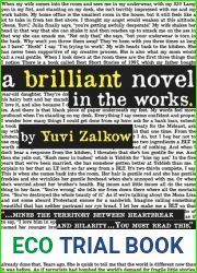 A Brilliant Novel in the Works
