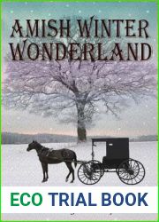 Amish Winter Wonderland (Amish Daughters #2)