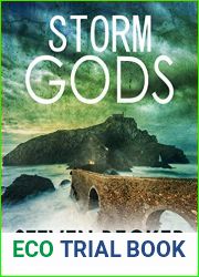 Storm Gods: A Fast Paced International Thriller (Storm Thriller Series Book 5)