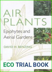 Air Plants: Epiphytes and Aerial Gardens