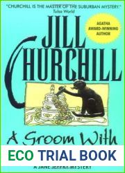 A Groom with a View (Jane Jeffry, #11)