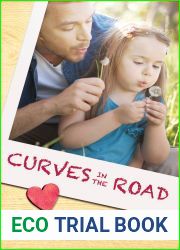 Curves in the Road (The Southern Devotion Series #2)
