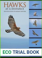 Hawks at a Distance: Identification of Migrant Raptors