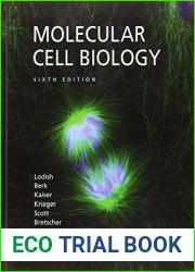 Molecular Cell Biology