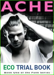 Ache (Punk, #1)