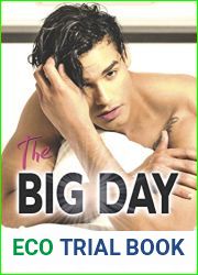 The Big Day (Hollywood Hearts Book 3)