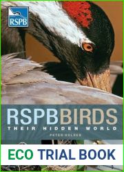 RSPB Birds: Their Hidden World