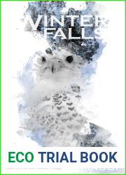 Winter Falls (Twin Willows, #1)