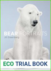 Bear Portraits