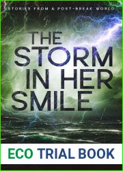 The Storm in Her Smile (Stories from a Post-Break World)