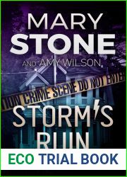 Storm|s Ruin (Amelia Storm #4)