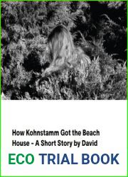 How Kohnstamm Got the Beach House