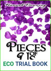 Pieces of Us