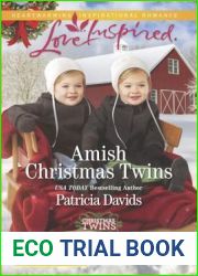 Amish Christmas Twins