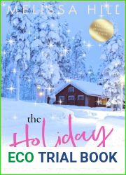 The Holiday Swap