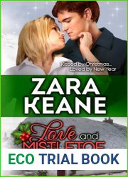 Love and Mistletoe (Ballybeg, #4)