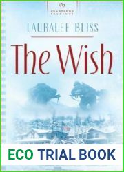 The Wish (Mysteries in Time Series #3)