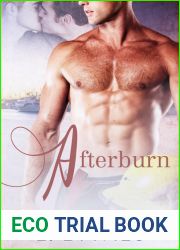 Afterburn (After, #1)