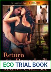 Return of the Daredevil (Delight, Texas, #2)