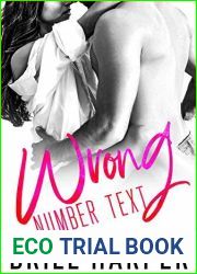Wrong Number Text (Love in Brazen Bay, #1)