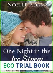 One Night in the Ice Storm (One Night Novellas, #2)